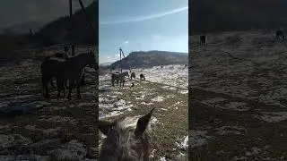 вперëд, Ралли