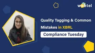 How to Ensure Quality Tagging in XBRL | What are the Common Mistakes in XBRL & How to Avoid Them?
