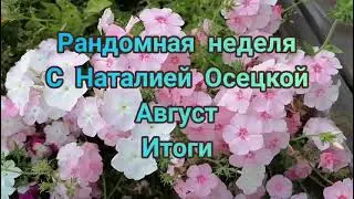 Рандомная неделя с Наталией Осецкой. Август. Итоги