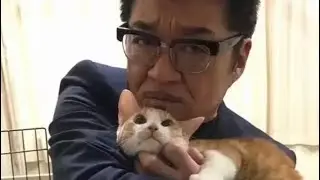kuze gets hit by a car (real)