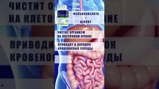 Композиция 1 x264 001