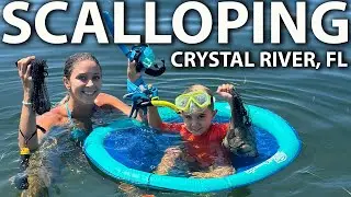 You Need To Try This Family Activity! | Scalloping in Crystal River Florida