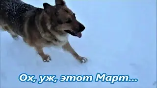 И снова Найда