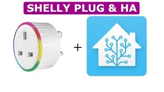 Connecting a Shelly Plug to Home Assistant