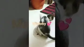 pussy love her child 