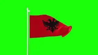 Albanian green screen flag Animation | Ekrani jeshil i flamurit shqiptar