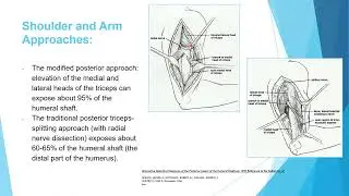 Anatomy upper extremity 1 (Shoulder)