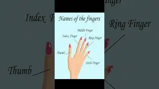 Name of Fingers