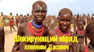 The shocking rite of the Dasanech tribe. Обряд обрезания девочек племени Дасанеч.