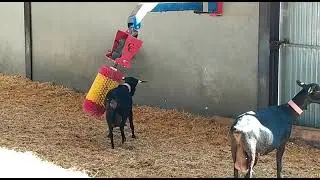 Cepillo Anti Estrés para Cabra CULMATIC