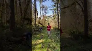 Hike in the foothills of the Cascades