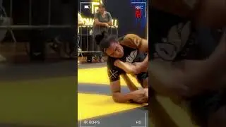 Florida BJJ League 🔥🔥