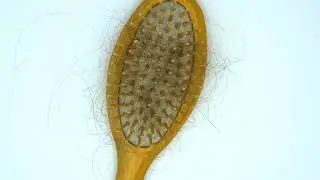 hairbrush with fallen out hair lots of fallen hai 2022 08 05 03 28 31 utc