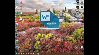 Licensing Wordfast Pro