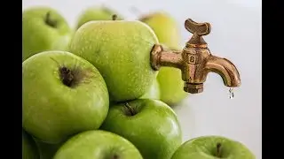 שיווק שותפים אורגני | שיווק שותפים