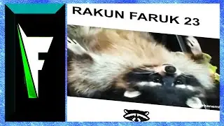 Furkan Emirce - Rakun Faruk 23