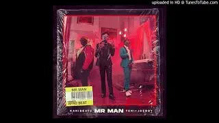 KaniBeatz ft. Teni x JoeBoy - Mr Man