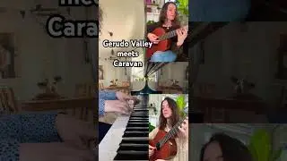 ✨Gerudo Caravan✨#videogamemusic #ocarinaoftime #nintendo #legendofzeldaocarinaoftime #n64