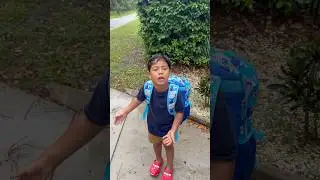 Mom and dad catch son waiting at bus stop but there’s no school during hurricane 