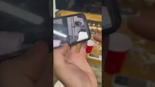 У ДИМЫ ГОРДЕЯ СБЕЖАЛА КОРОЛЕВСКАЯ КОБРА И ОПЕРАТОР УМЕ.... ОТ УКУСА 🤯😭 #shorts