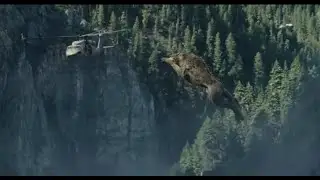 Dangerous wolves have attacked a helicopter