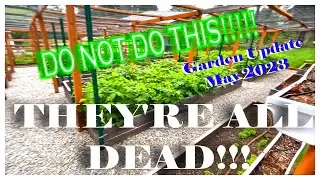 We Take It Back!! Learn From Our Mistake and Do Not Do What We Did. Garden and Greenhouse Update