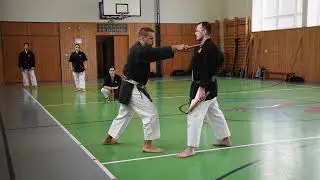 Okinawa Kobudo - Nunchaku