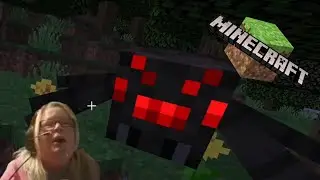 My MOM plays Minecraft