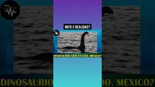 "Acaso hay un dinosaurio vivo en México| esto dicen vecinos de Atizapán" 😱🤔🦕▶️⏩