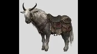 Torrent's Secret Skill ? I Guess...