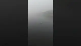 Topwater fishing smash! Dog in the fog #bassfishing #topwater