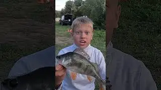 Когда первый тур соревнований по спиннингу 🤯🤯🤯прошёл с НУЛЁМ!!! 