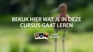 Online fotografie cursus - Dit leer jij in onze online basiscursus