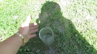 Реальный действенный метод борьбы с кротами