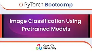 Pytorch Bootcamp for Beginners - 4 | Image Classification Using Pretrained Models