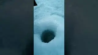 Я на тарангуле