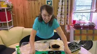 ЭУСТОМА. Пикировка!