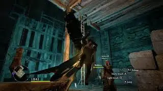 Dragon's Dogma: Dark Arisen (PS4) WTF?!!....