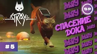 STRAY || Прохождение на русском #5 || Логово Зурков