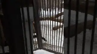 "Дяденька, ну дай сделать хоть один звонок родным!"