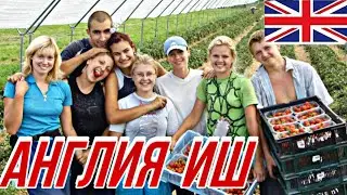 Англия  ЛИТВАГА ВИЗА 2 йил иш