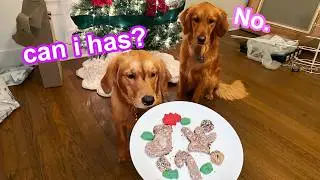 My Dogs Bake Christmas Cookies!