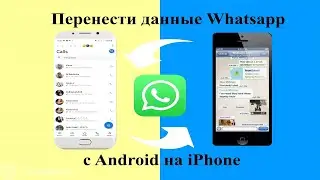 Как перенести данные с Android на iPhone 13 (2 бесплатных способа)
