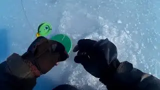 рыбалка на жерлицы