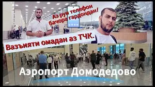 Аэропорт Домодедово | Тафтиши сахт ҳангоми аз ВАТАН омадан. 