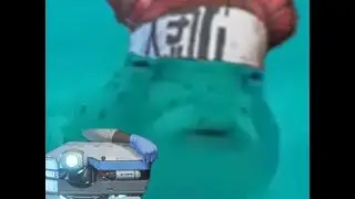 КАК НЕ СОСАТЬ В Apex?!! ГАЙД! НАЙДИТЕ МНЕ?!!