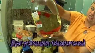 Дегустация самогона,таксист историк и очередная победа 