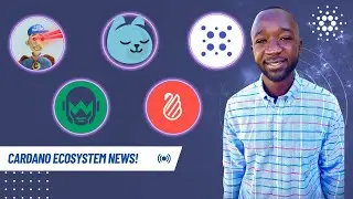 Cardano NEWS - CNFTS on ETHEREUM! MinSwap & WingRiders Upgrades & Projects Closing Shop!
