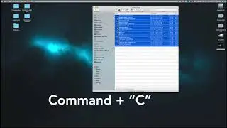 How to copy a list of files (names only - Mac OS)