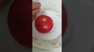Что вырастает при посеве семян из гибрида?